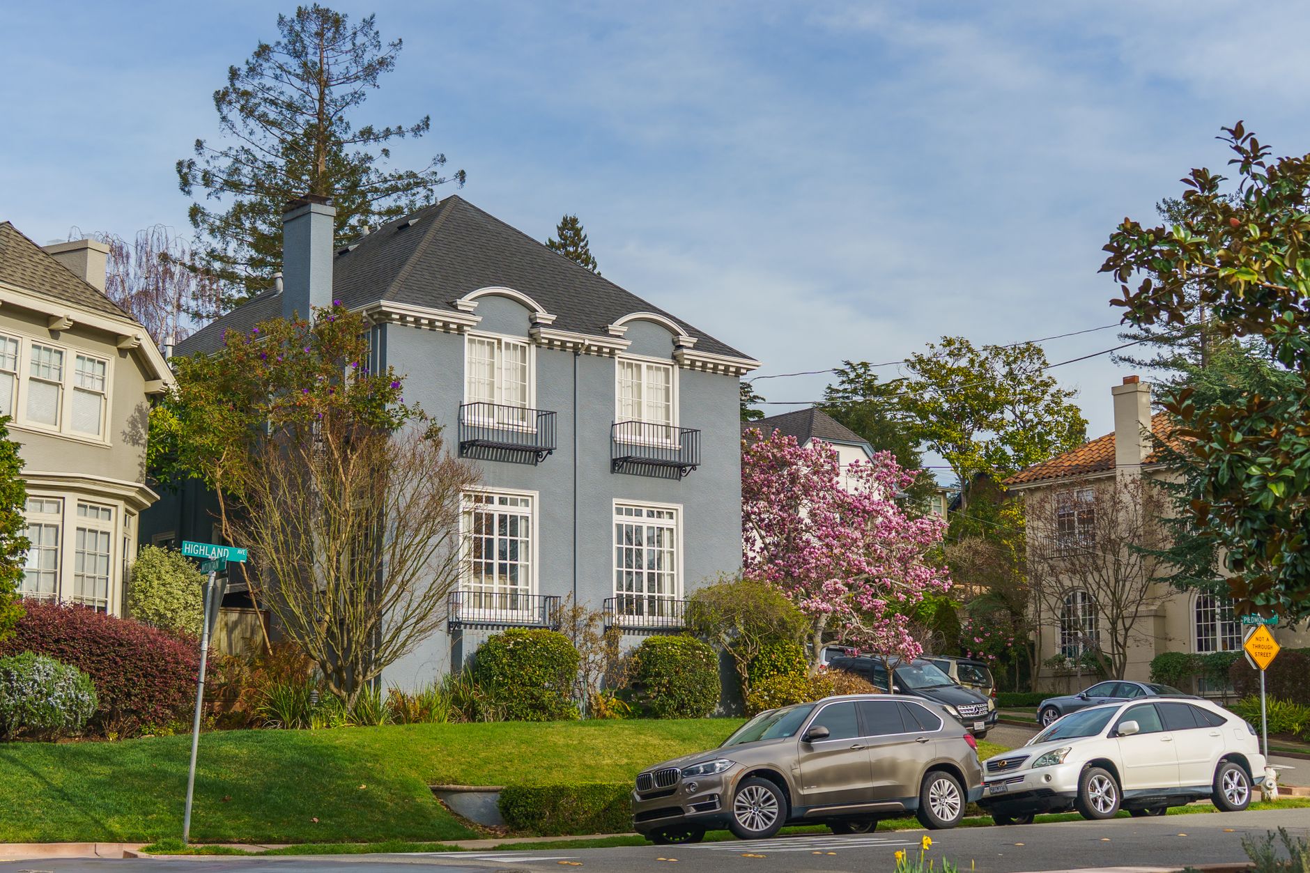  A peaceful residential street with well-maintained homes