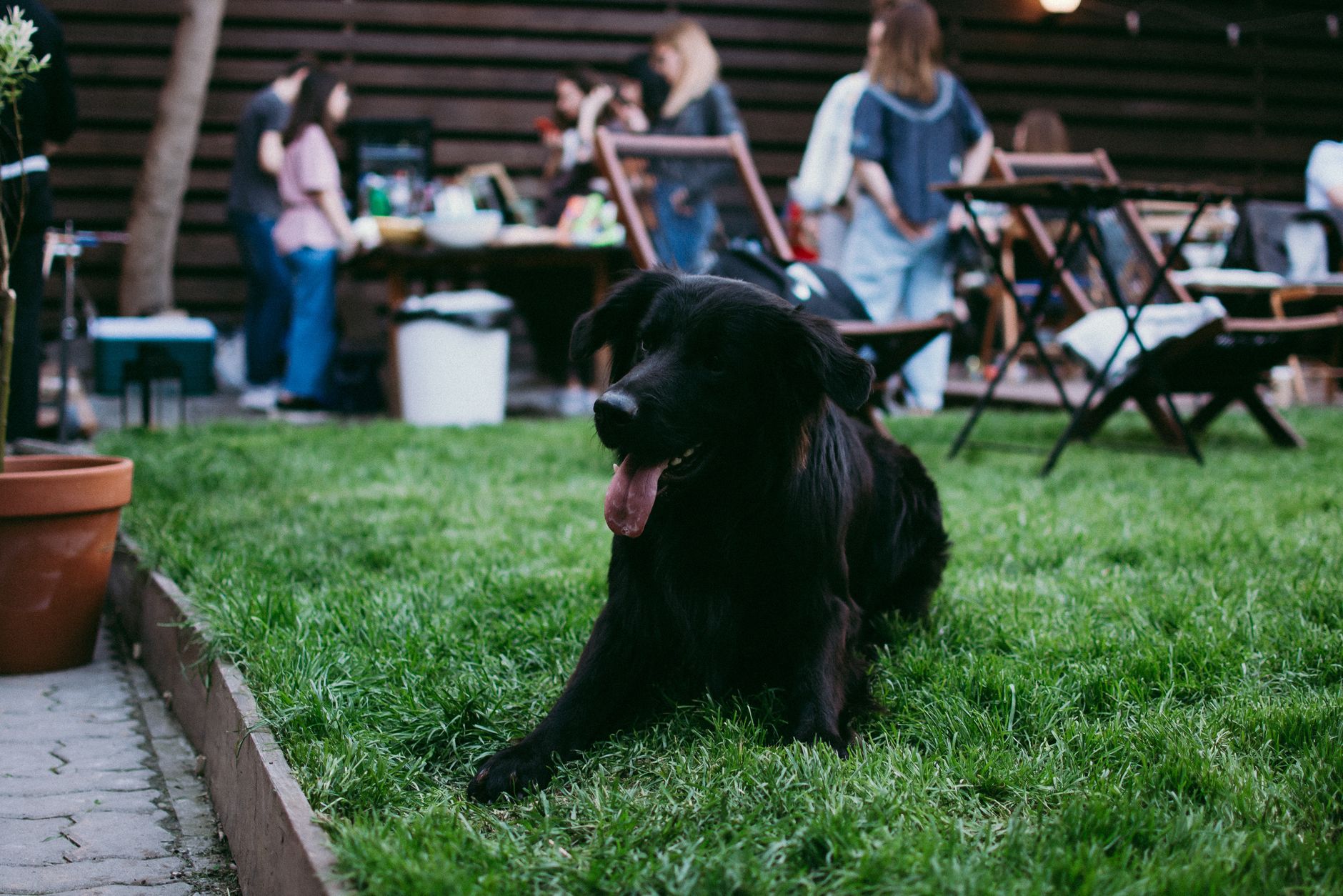 Happy tenant with dog in social housing garden - showing successful pet policy
